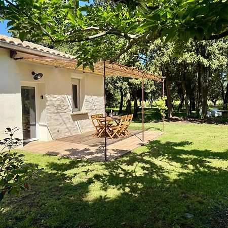 Maisonnette Avec Petite Foret Valréas 外观 照片