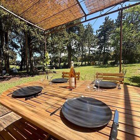 Maisonnette Avec Petite Foret Valréas 外观 照片