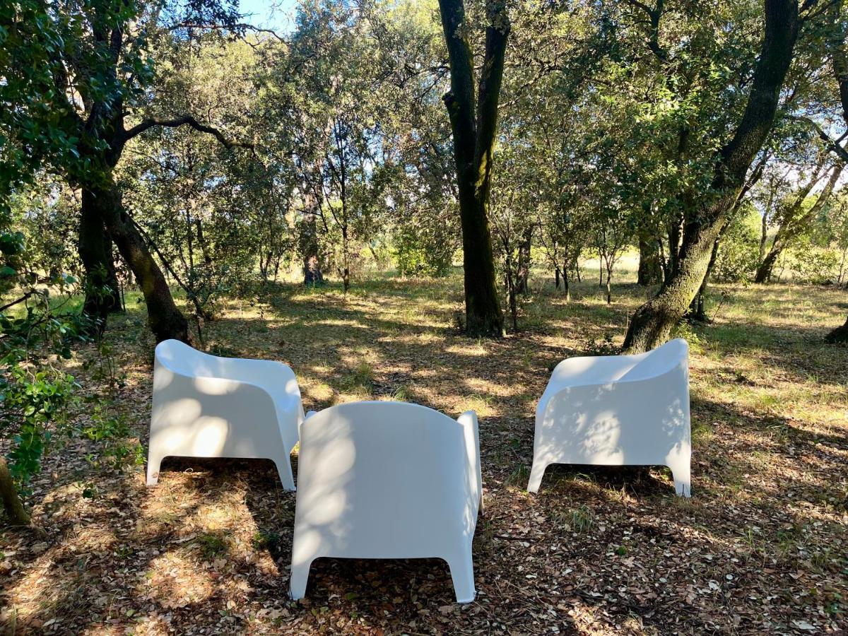 Maisonnette Avec Petite Foret Valréas 外观 照片