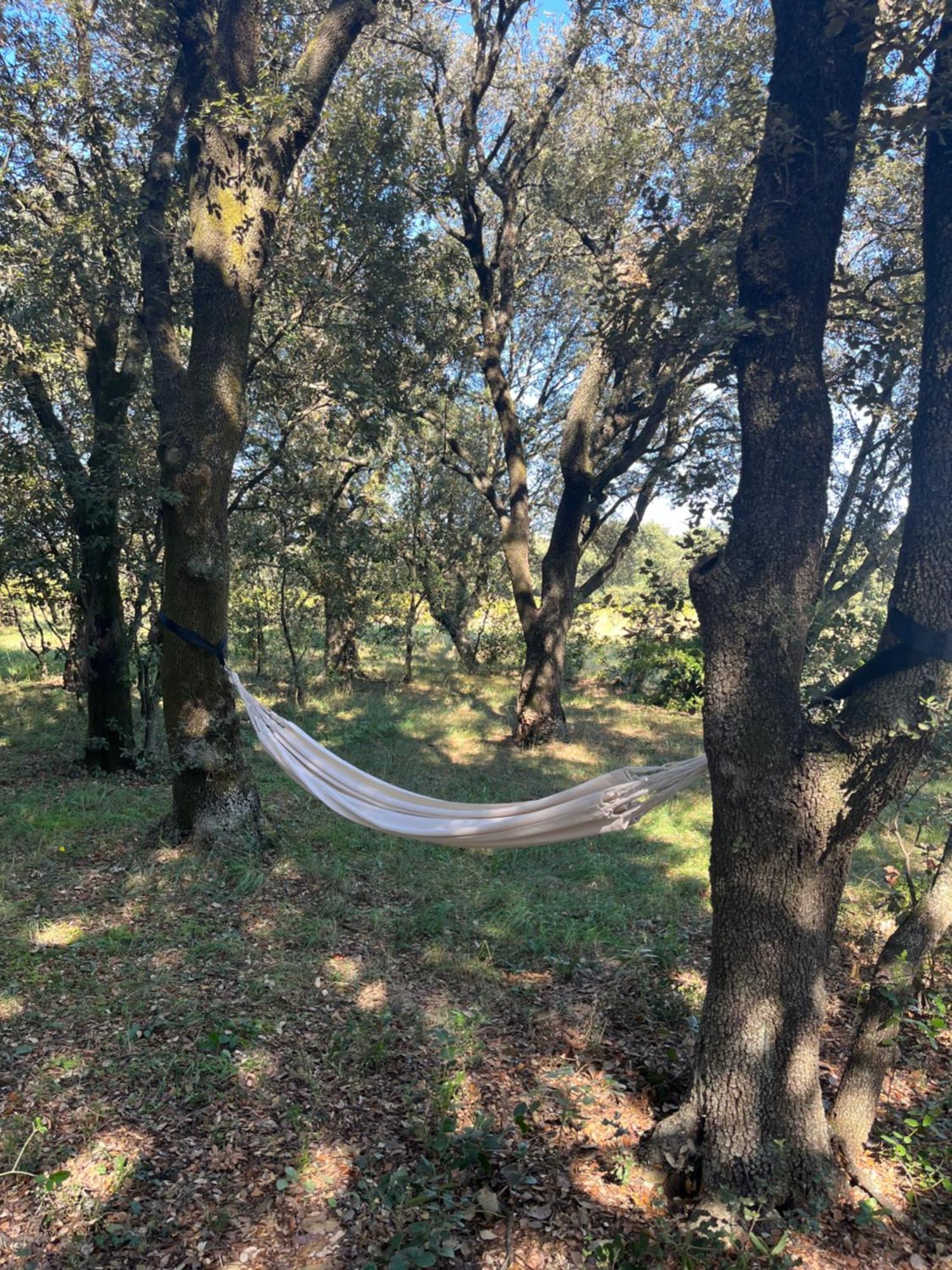 Maisonnette Avec Petite Foret Valréas 外观 照片